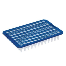 Eppendorf twin.tec® PCR Plate 96, unskirted, 250 μL, PCR clean, blau, 20 Platten
