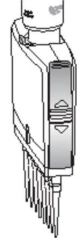 Riegel für Mehrkanalunterteil, für Eppendorf Reference® 2
