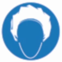 PSA-Aufbewahrungsboxen SecuBox Mini/Midi/Maxi, Haarschutz