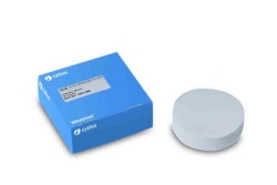 GF-Mikrofilter Sorte GF/B, 21mm VE=100